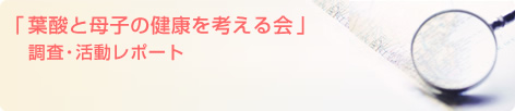 調査・活動レポート